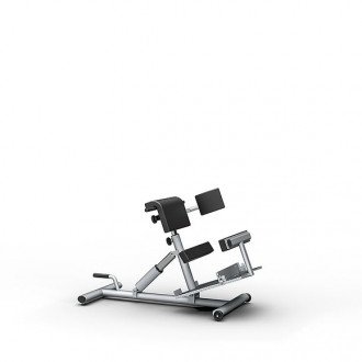 Скамья для гиперэкстензии Proxomed Compass MTT Trunk Trainer Combi в Екатеринбурге