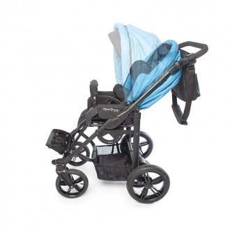 Детская прогулочная коляска ДЦП Liwcare Modi Buggy на раме Rico в Екатеринбурге