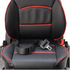 2-точечный ремень
