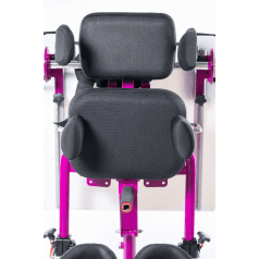 Основная опора для туловища