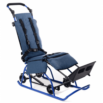 Детские прогулочные санки Raft Bike Raft Санки 2в1 в Екатеринбурге