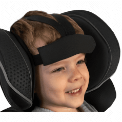 Головодержатель