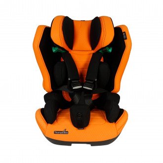 Детское автомобильное кресло ДЦП Thomashilfen RECARO Axion 1 Reha в Екатеринбурге