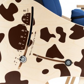 Детская комнатная кресло-коляска Akcesmed Dalmatian Invanto Dt-2 в Екатеринбурге