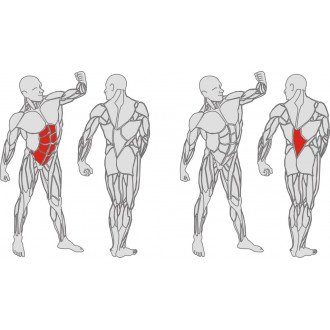 Тренажёр механотерапевтический для мышц пресса и спины Hur Rehabilitation 5310 в Екатеринбурге