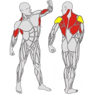 Тренажёр механотерапевтический для рук и спины Hur Rehabilitation 5175 в Екатеринбурге