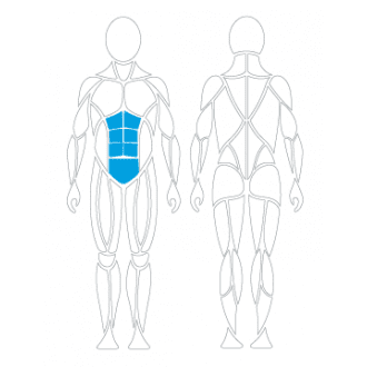 Тренажёр механотерапевтический для пресса David Abdominal Crunch G130 в Екатеринбурге