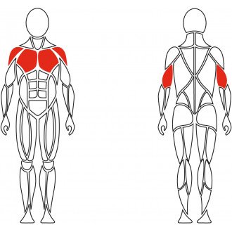 Тренажёр механотерапевтический для мышц груди David Chest Press G510 в Екатеринбурге