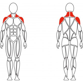 Тренажер механотерапевтический David Shoulder Concept F620 разведение рук в стороны в Екатеринбурге