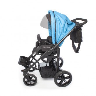 Детская прогулочная коляска ДЦП LIWCare Modi Buggy в Екатеринбурге